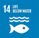 Ocean and marine conservation UN sustainable development goals 14